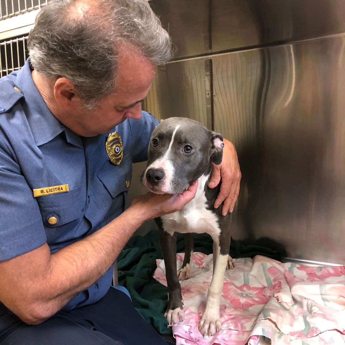 police officer with dog