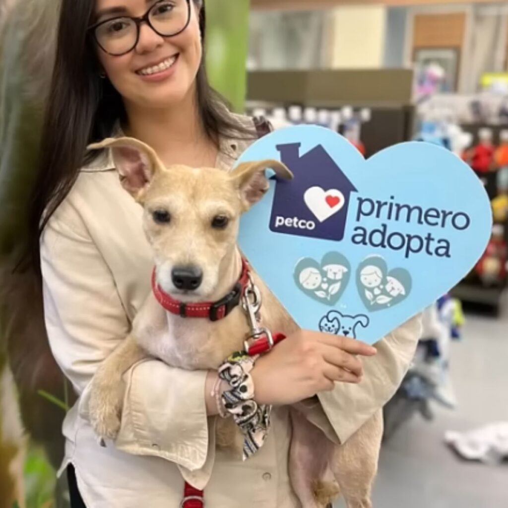 smiling girl with a dog in her arms