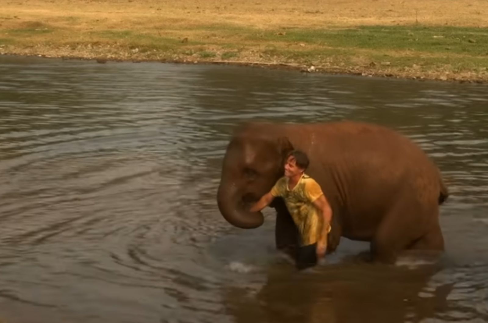 smiling man with elephant