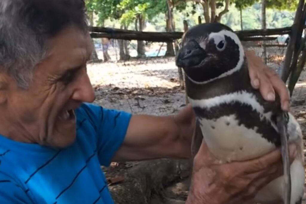 smiling man with penguin