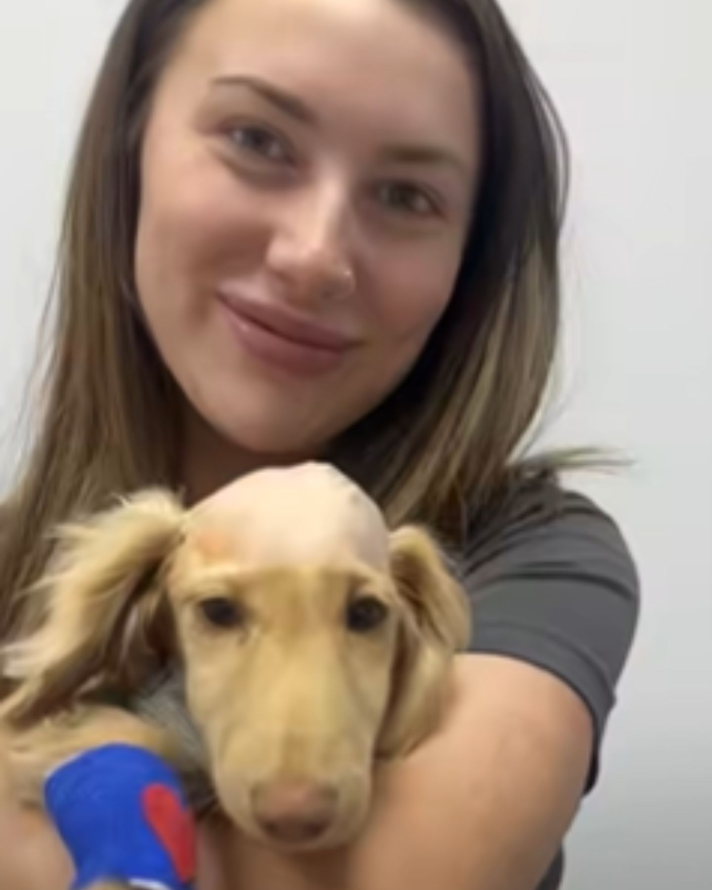 smiling woman holding a dog in hands