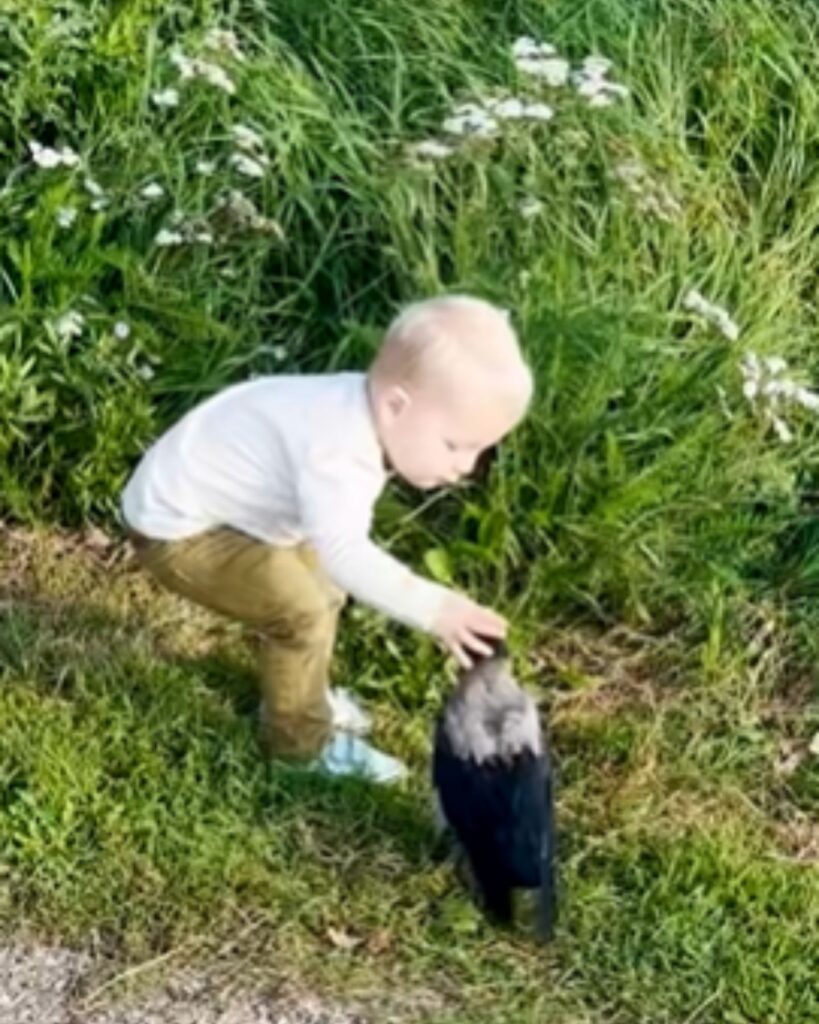 the boy caresses the crow