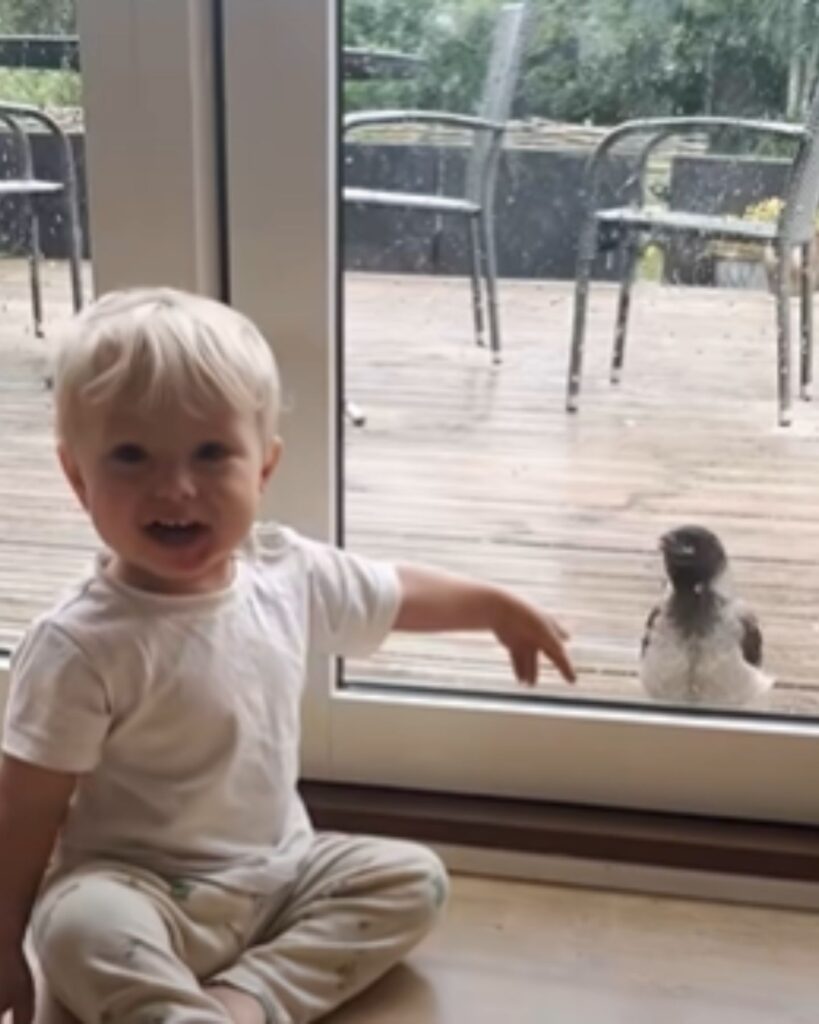 the boy sits by the window and points to the crow