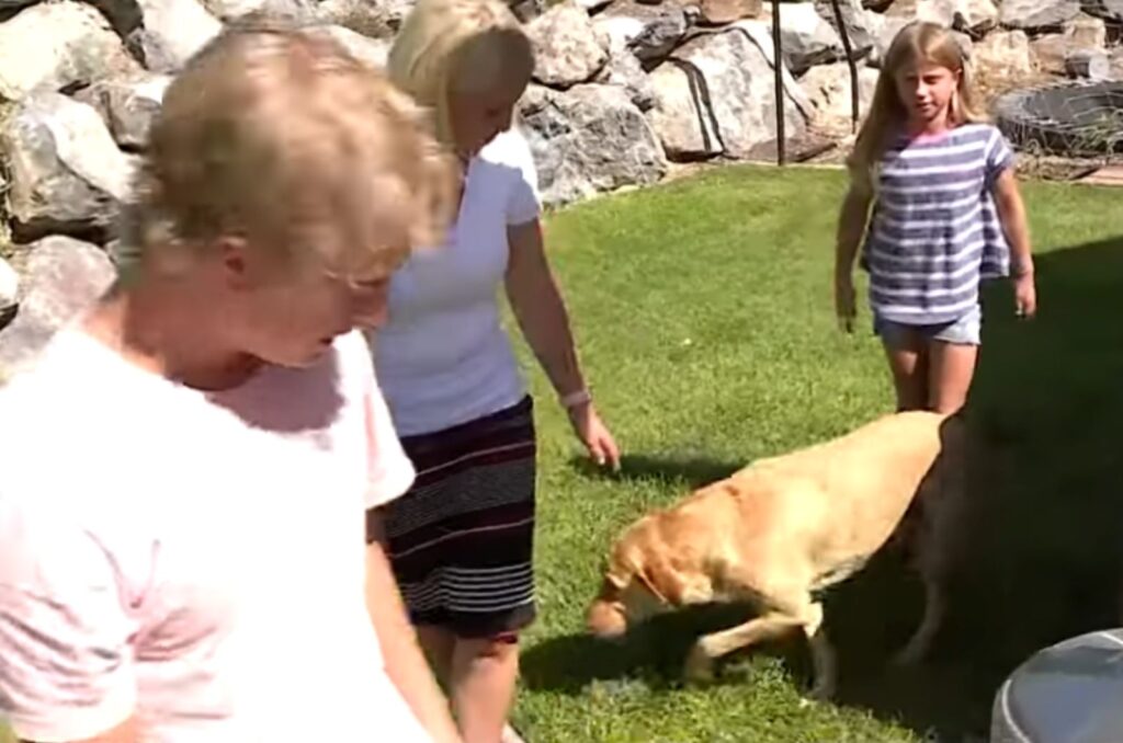 the family gathered around the labrador