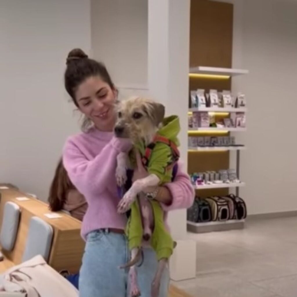 the girl is holding a skinny dog ​​in her arms