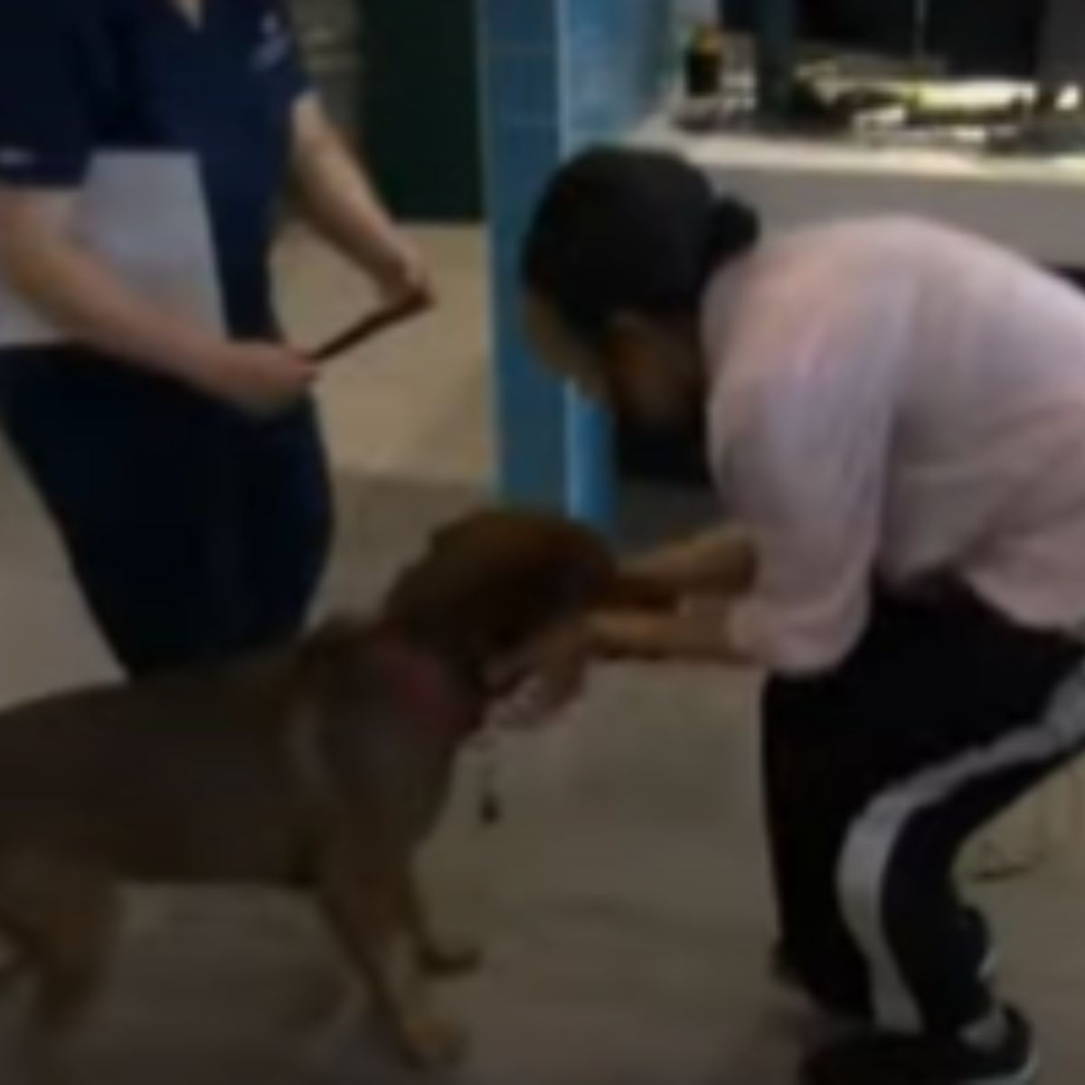 woman and saved dog