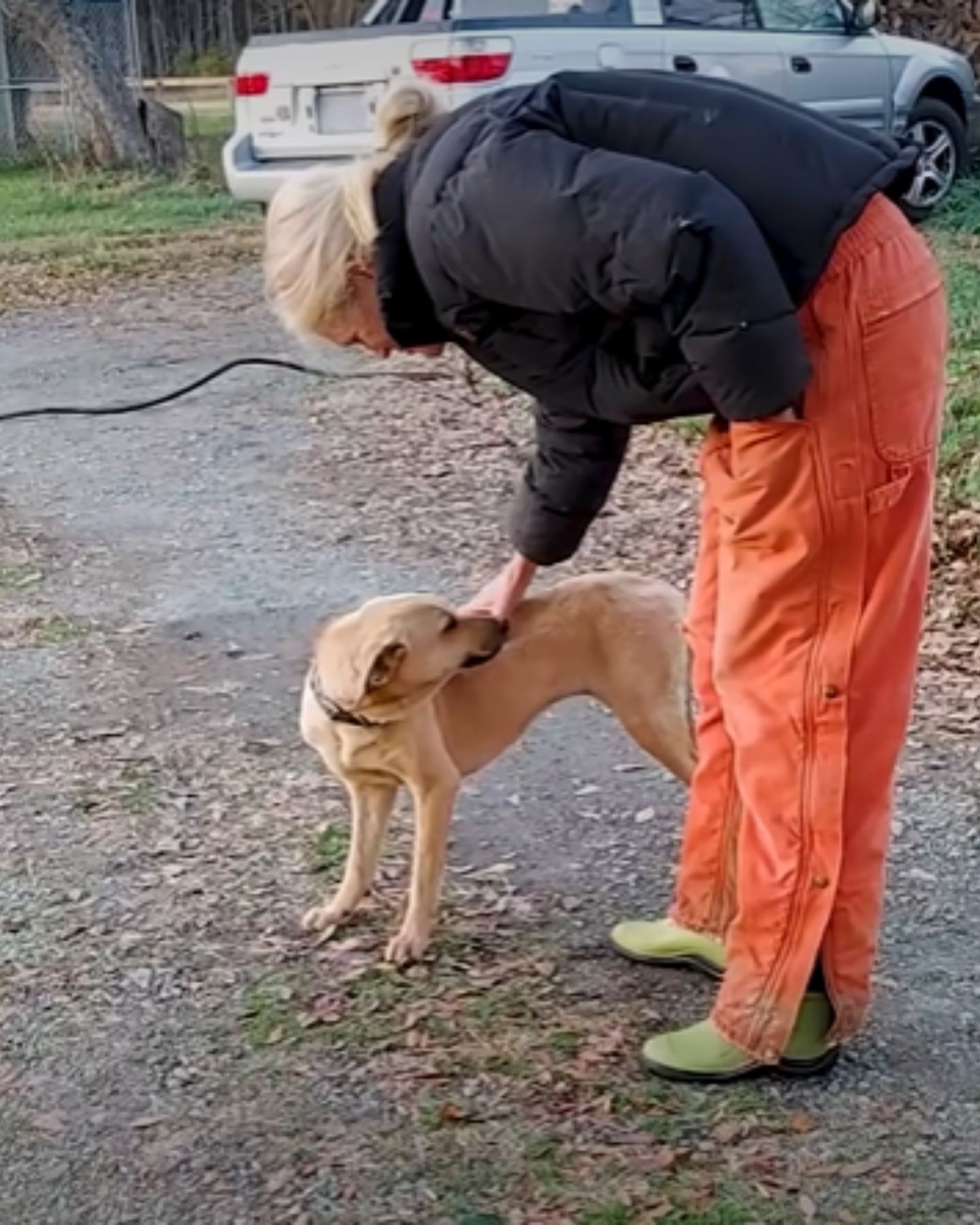 woman carresing dog outdoor