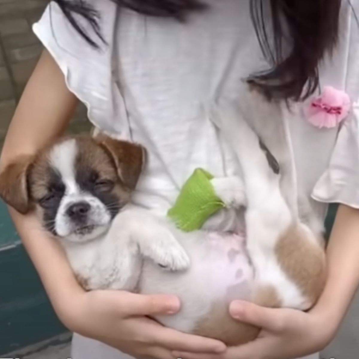 woman carrying the puppy