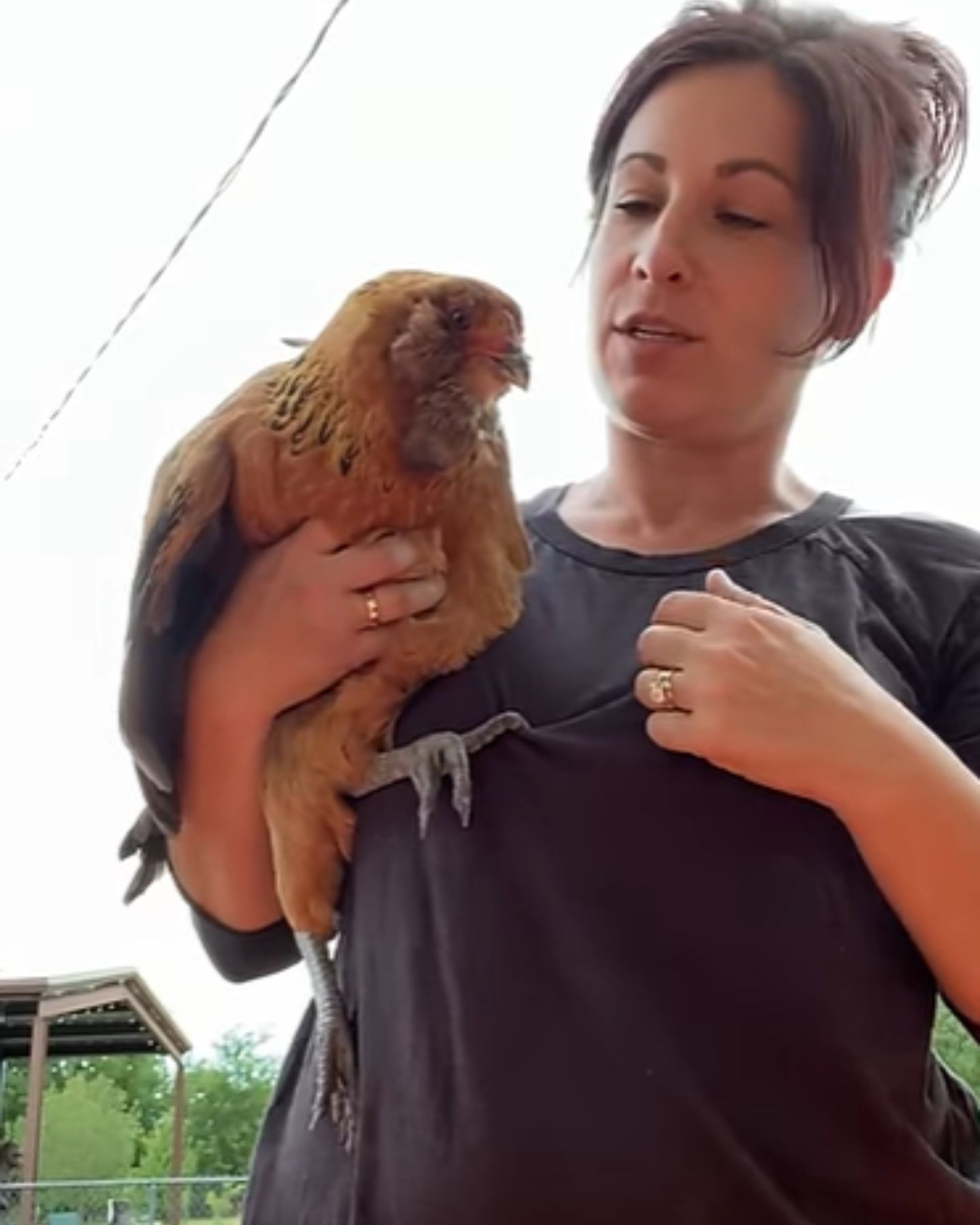 woman holding a chicken