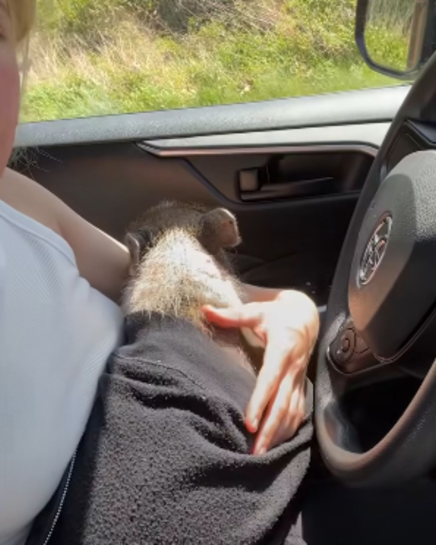 woman holding a piglet