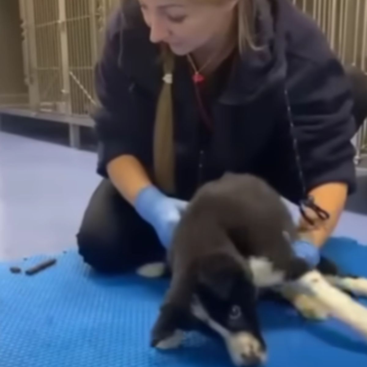 woman holding the dog on the ground