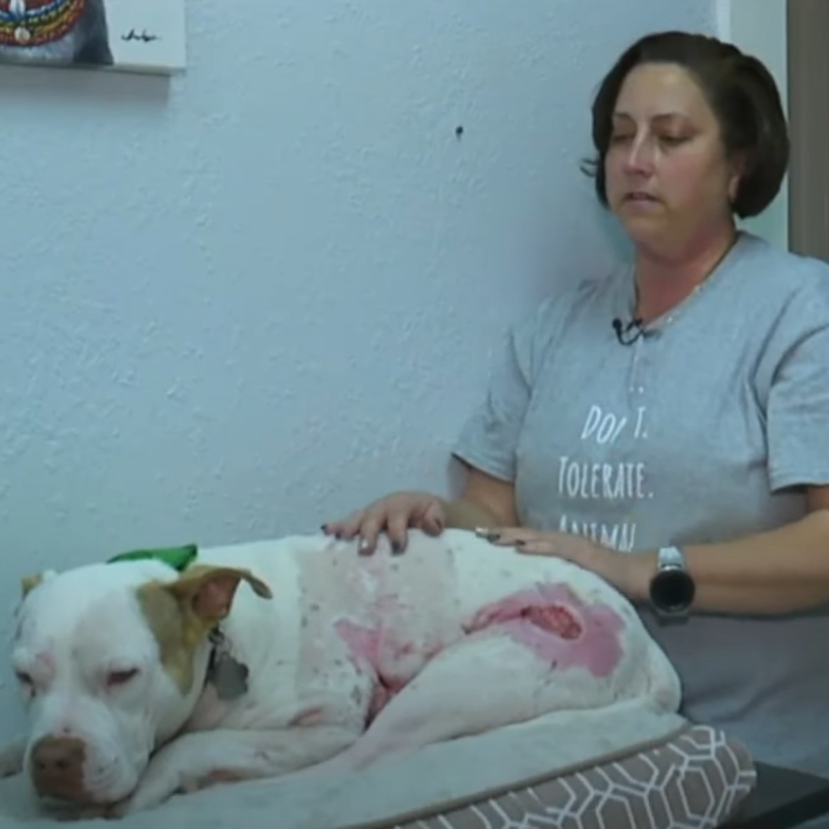 woman petting the dog