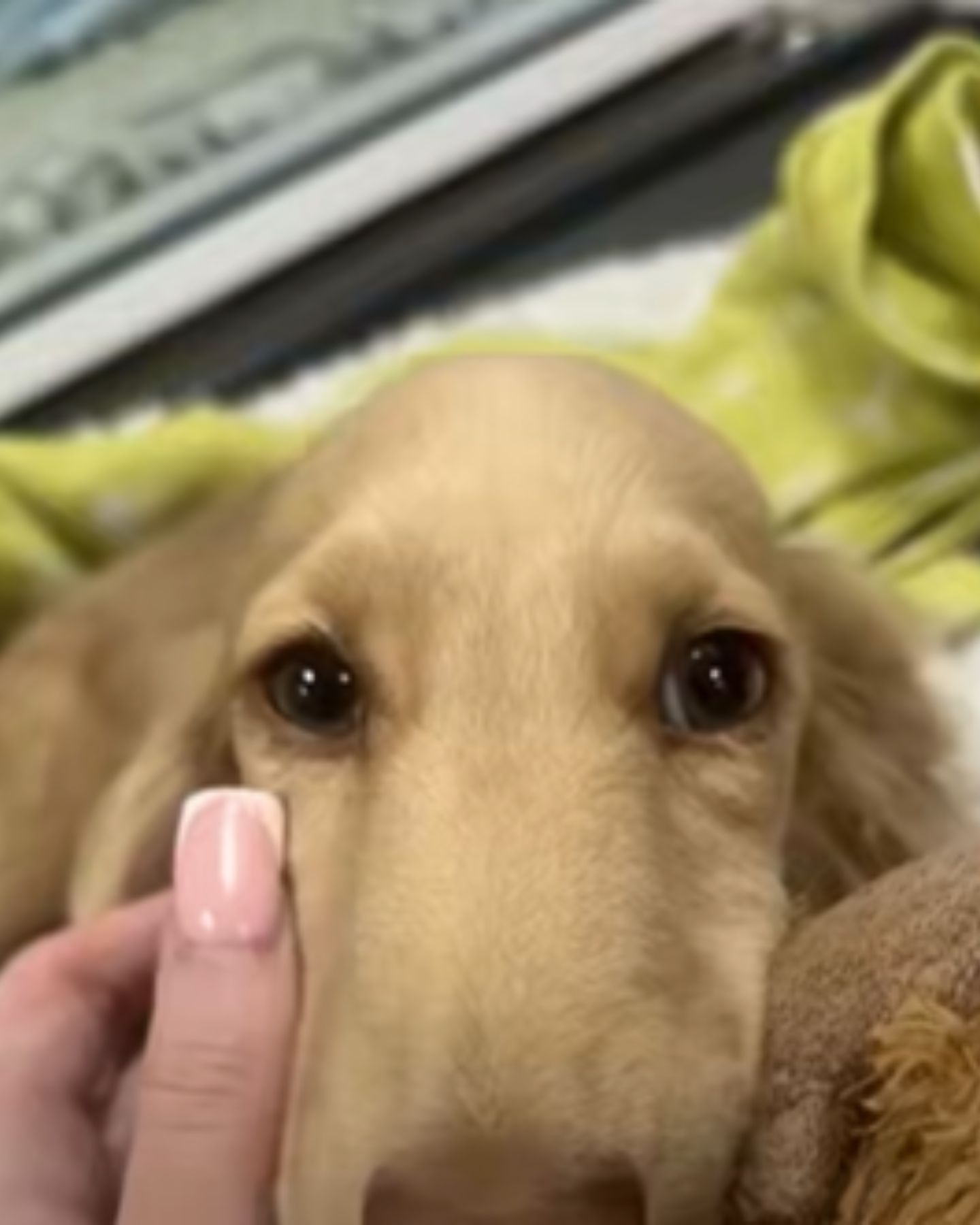 woman snuggling with dog