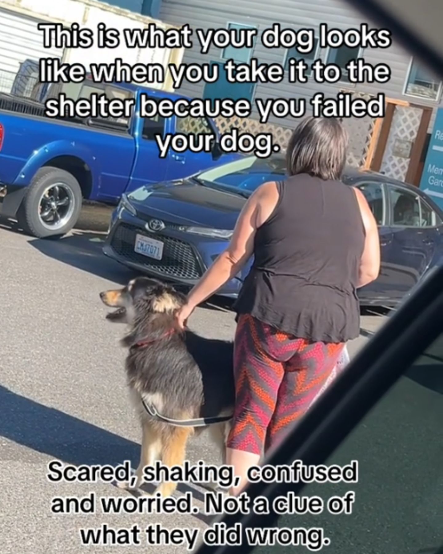 woman walking a dog on leash