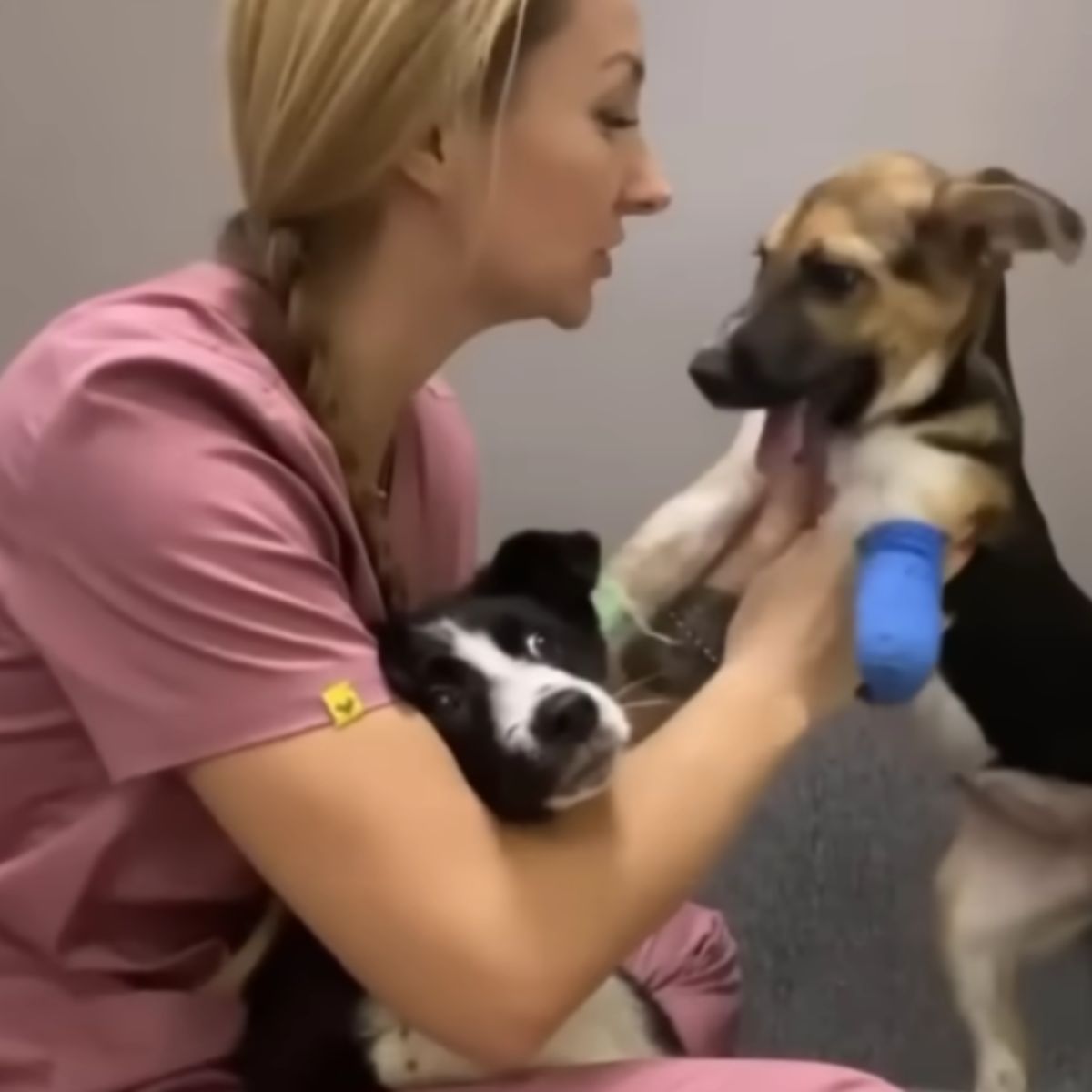 woman with two dogs