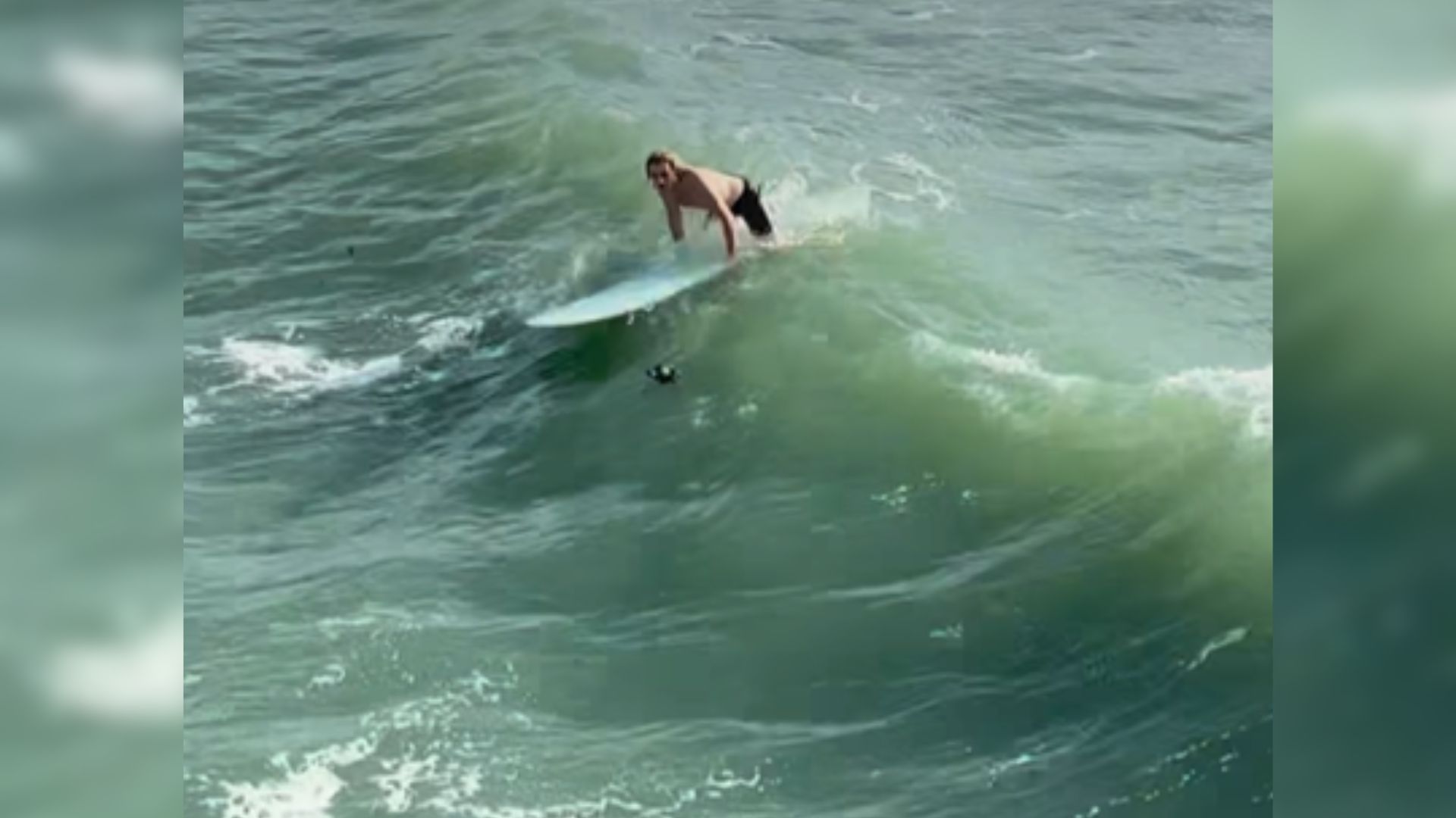 photo of a surfer