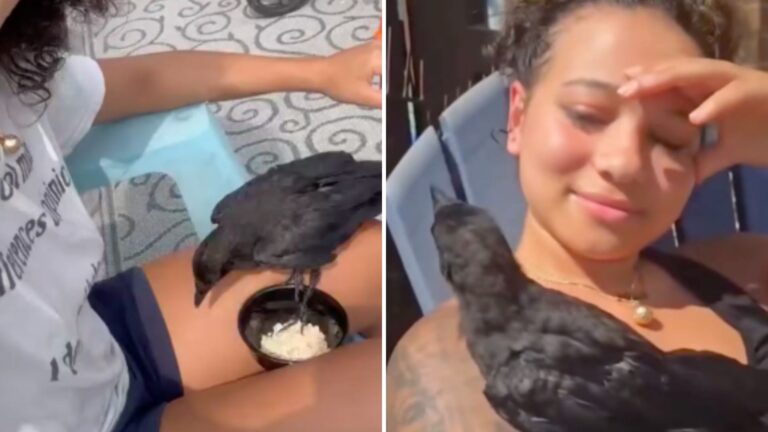 woman and a crow