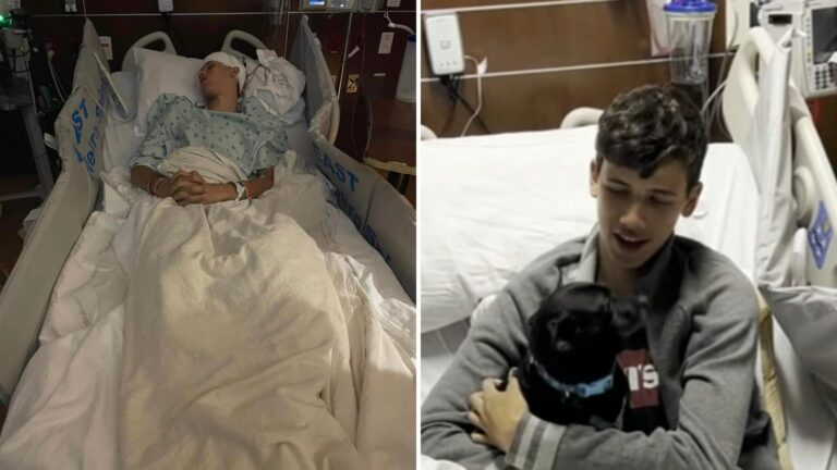 hero pup saves teens life