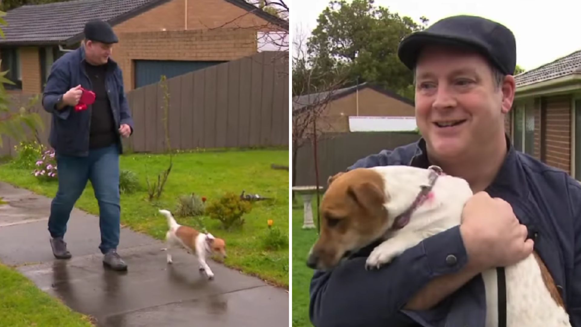 Jack Russell Saves Owner’s Life