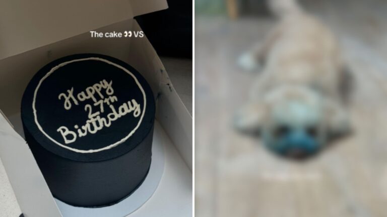 Man’s $100 Birthday Cake Gets Destroyed