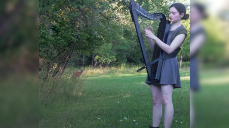 musician playing harp