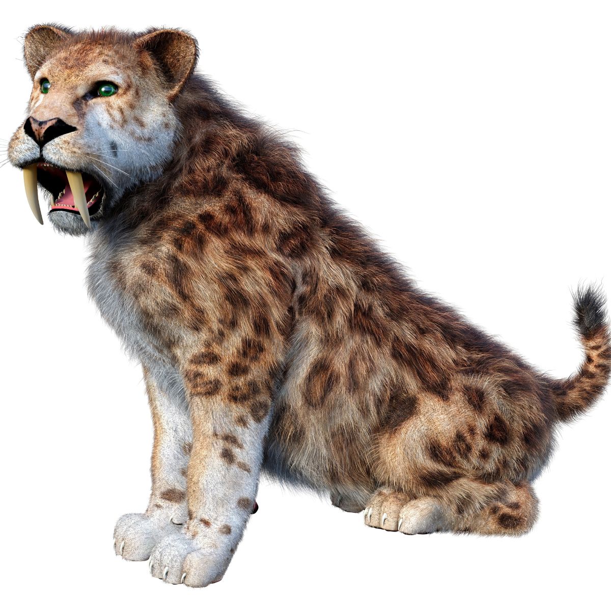 Saber-Toothed Cat