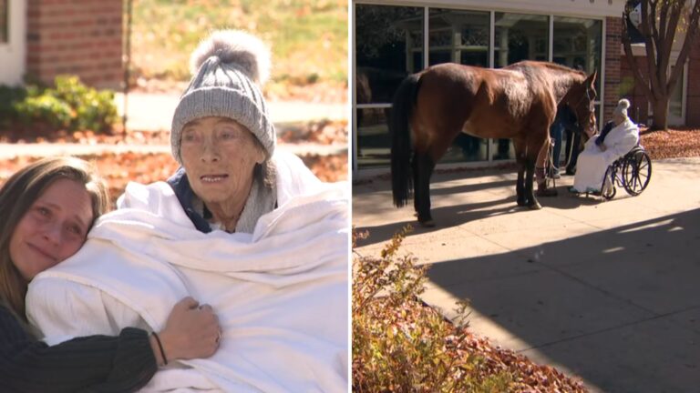 Try Not To Cry Watching This Horse Fulfill A Patient’s