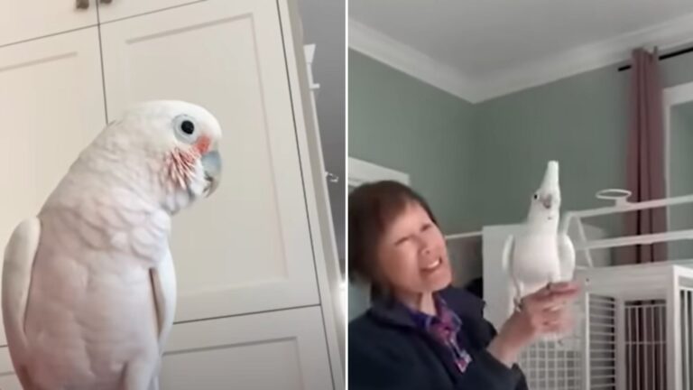 woman with parrot