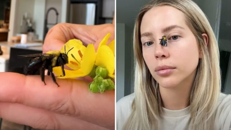 woman with bee