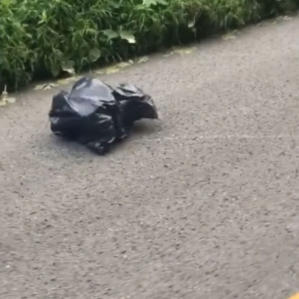 a black bag thrown on the road