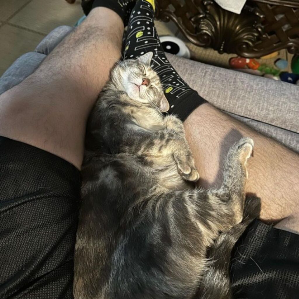 a cat sleeps on a man's legs