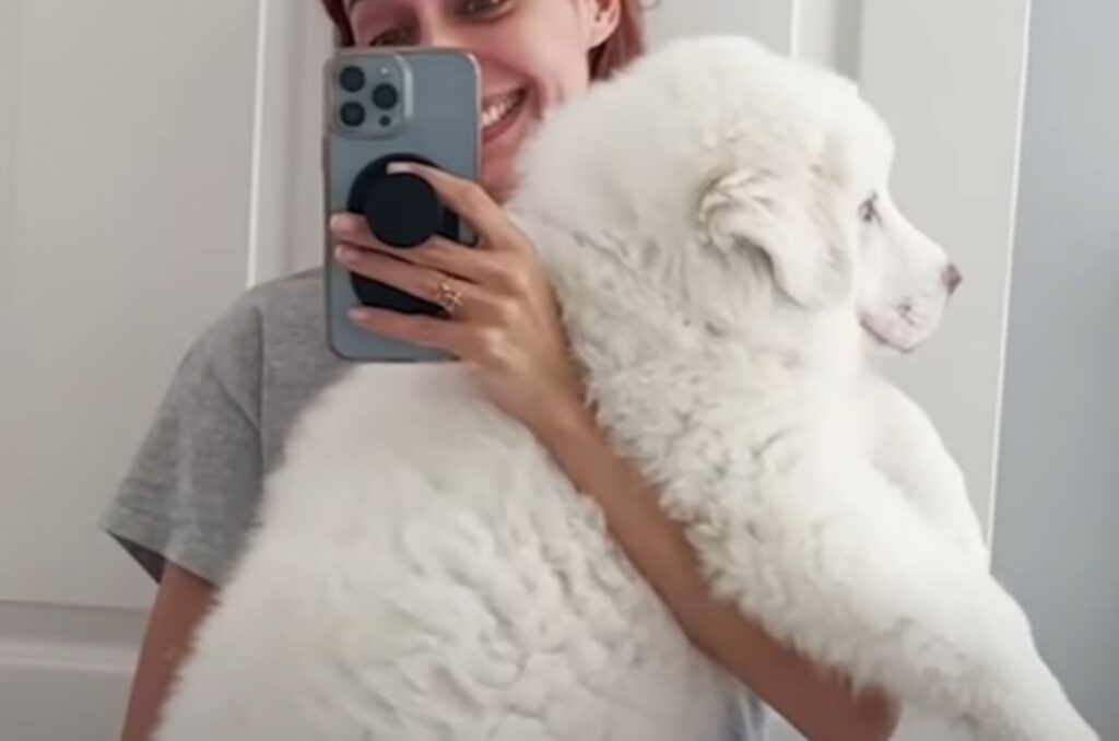 a girl takes a picture with a big white dog