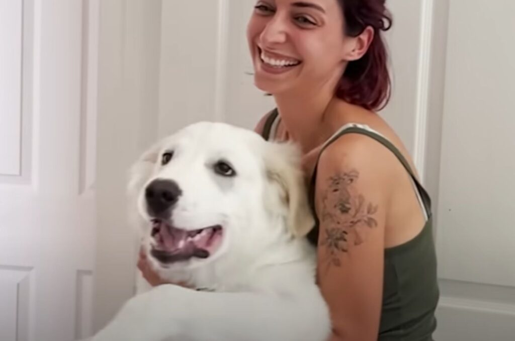 a happy dog ​​in the arms of a happy girl