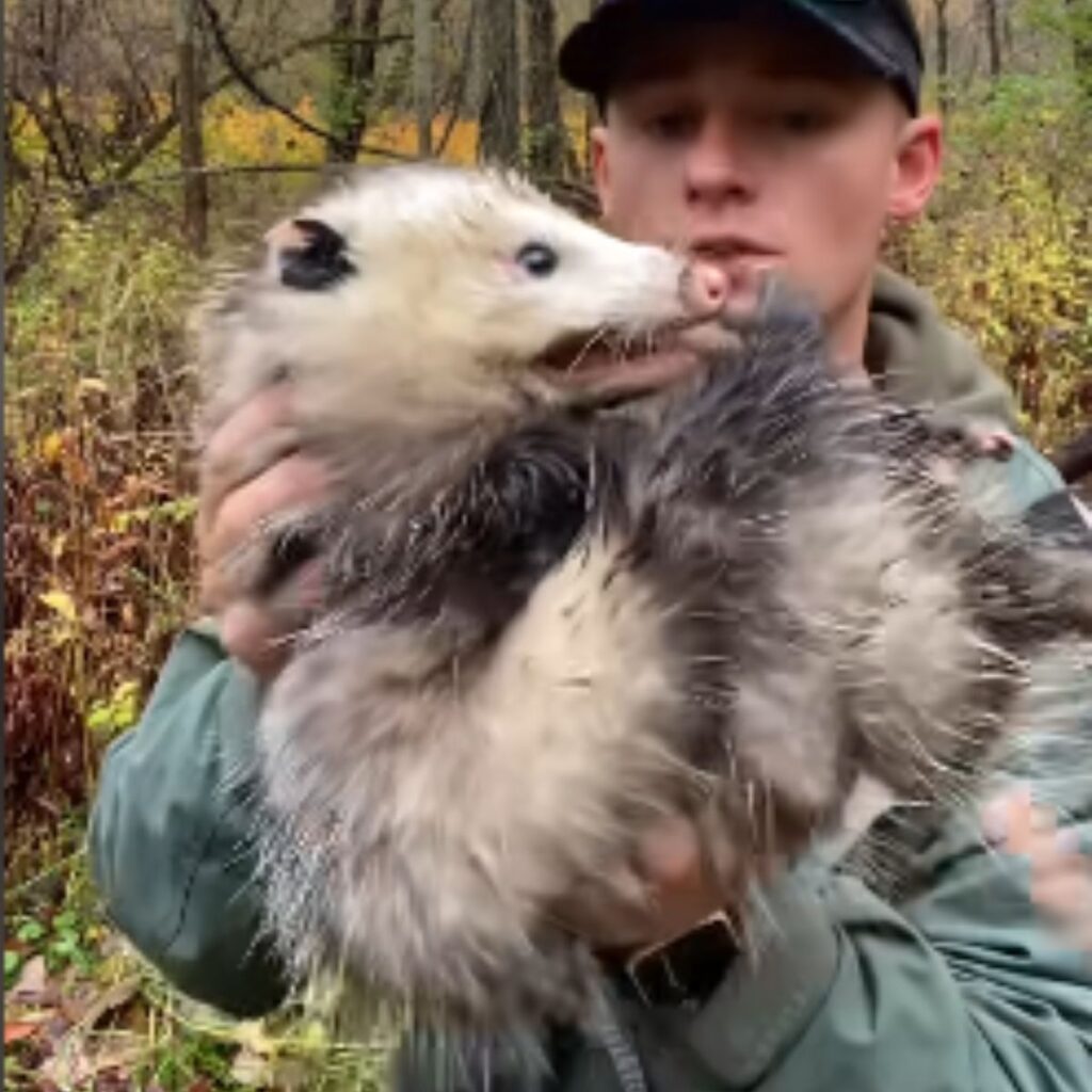 a man in the forest is chasing a opossum