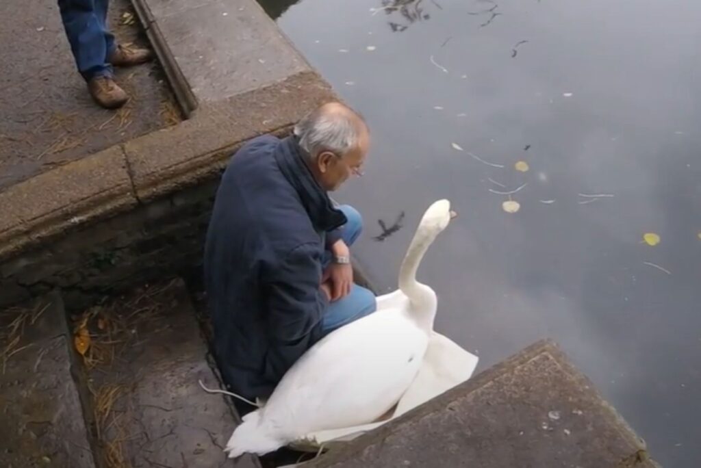 a man is standing on the steps with a baud by the water