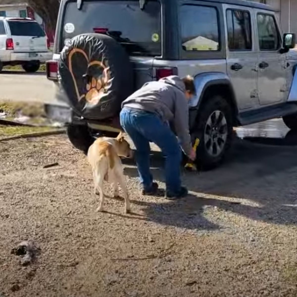 a man standing outdoor with dog