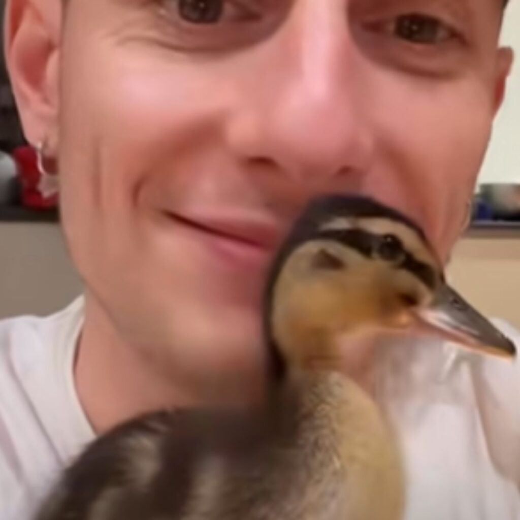 a man takes a picture with a chicken