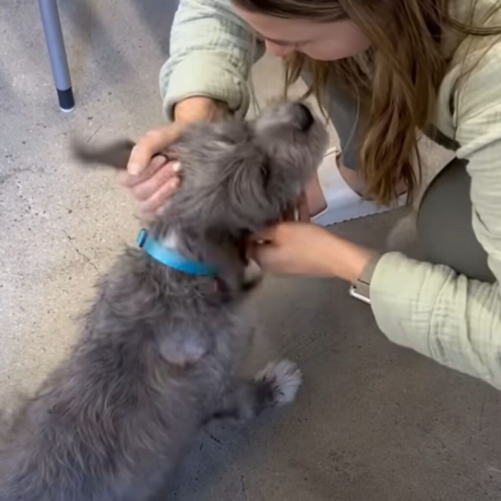 a woman petting a dog