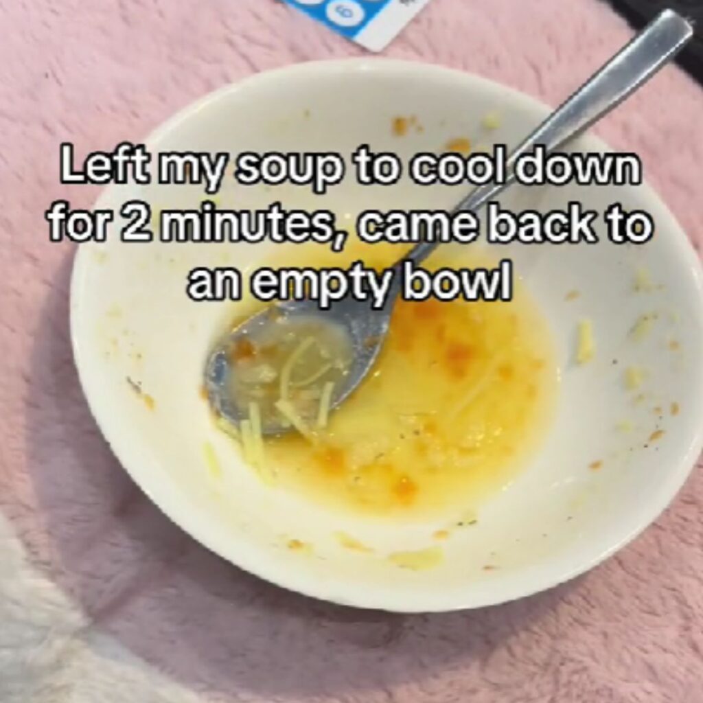 ate soup from the plate