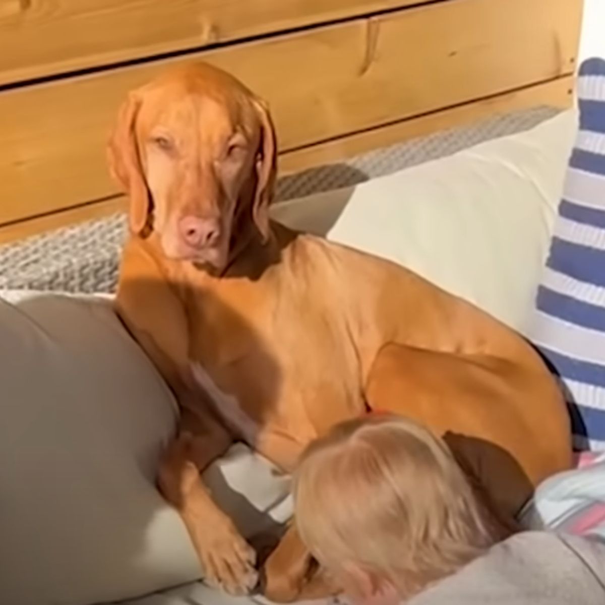 blonde woman and dog