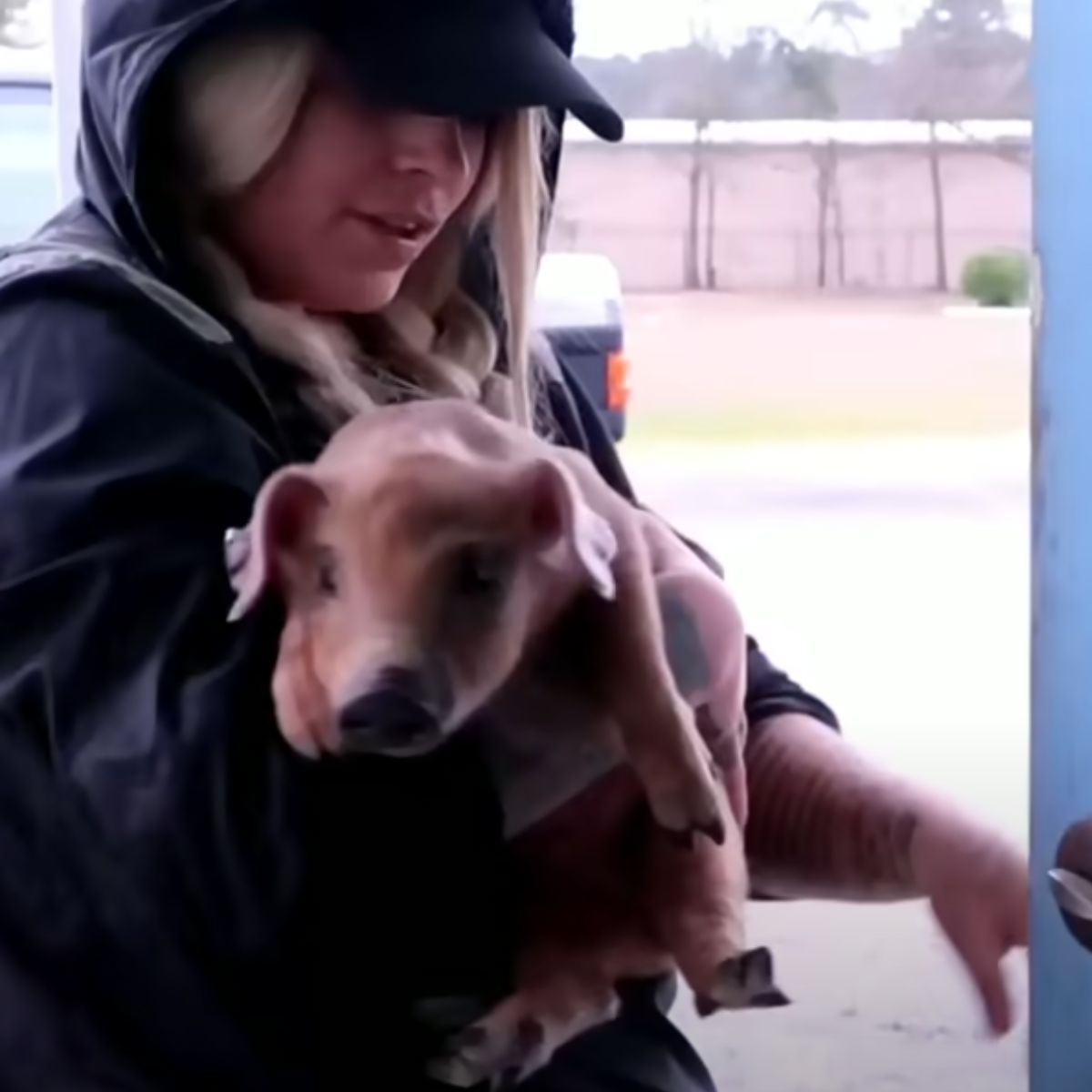 blonde woman holding a piglet