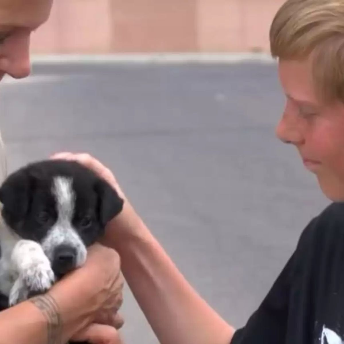 boy petting a puppy