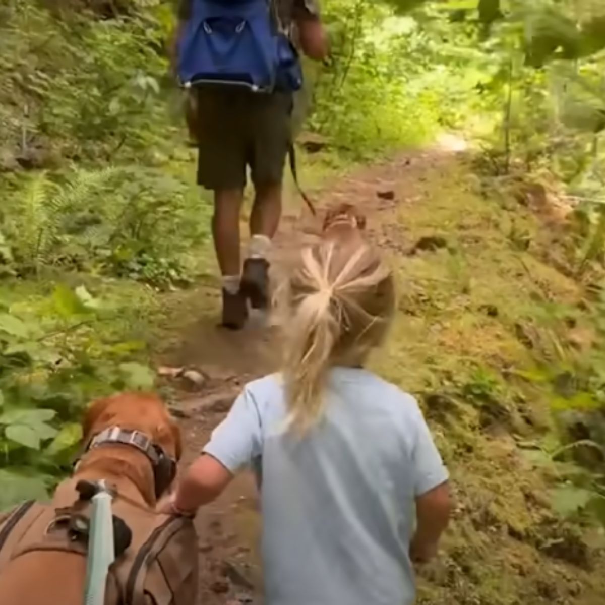 dog and family hiking