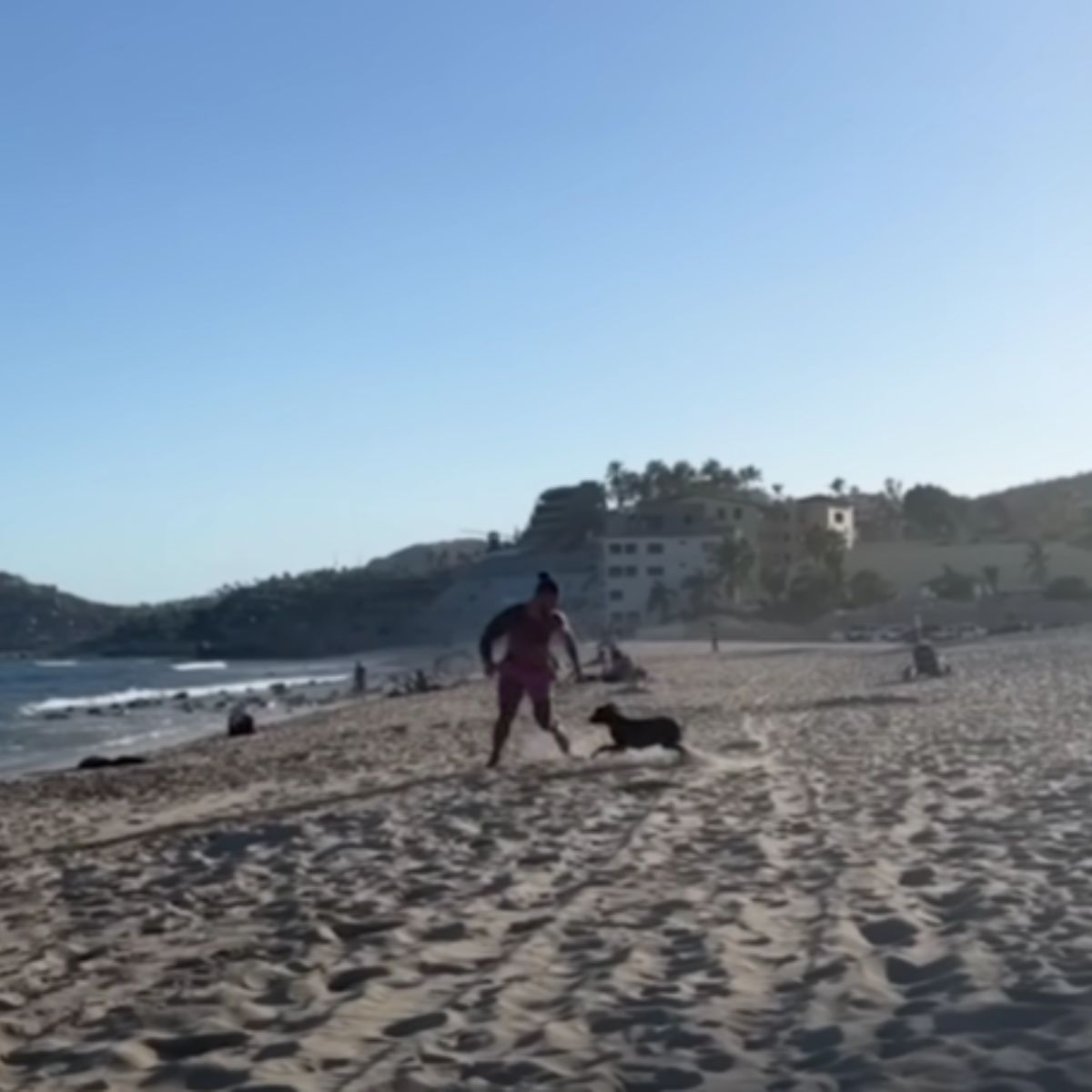 dog chasing an owner