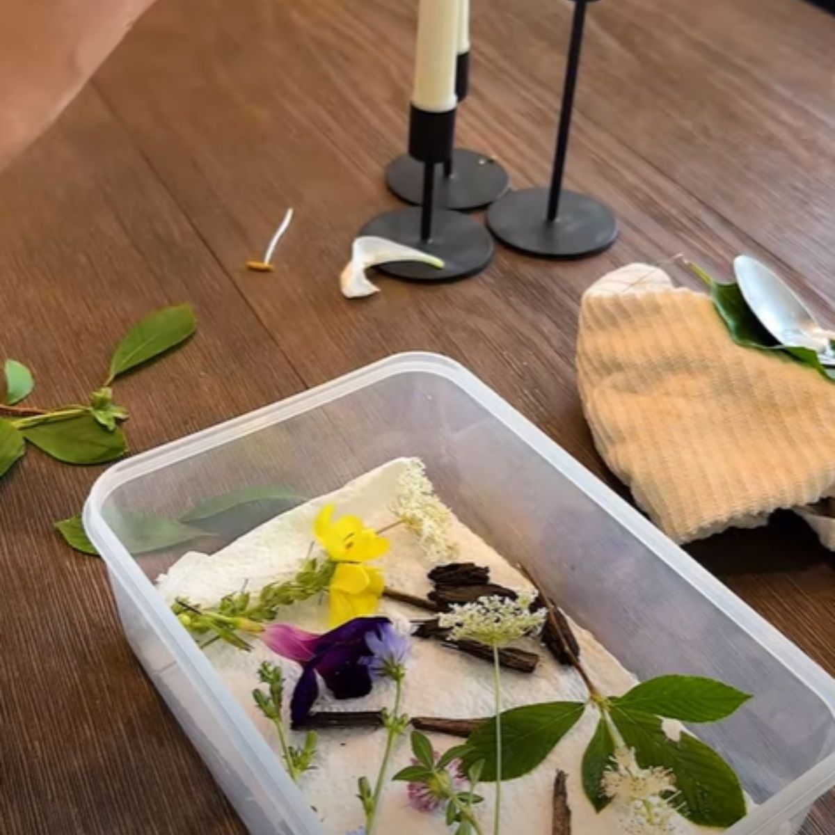 flowers and herbs in a plastic box