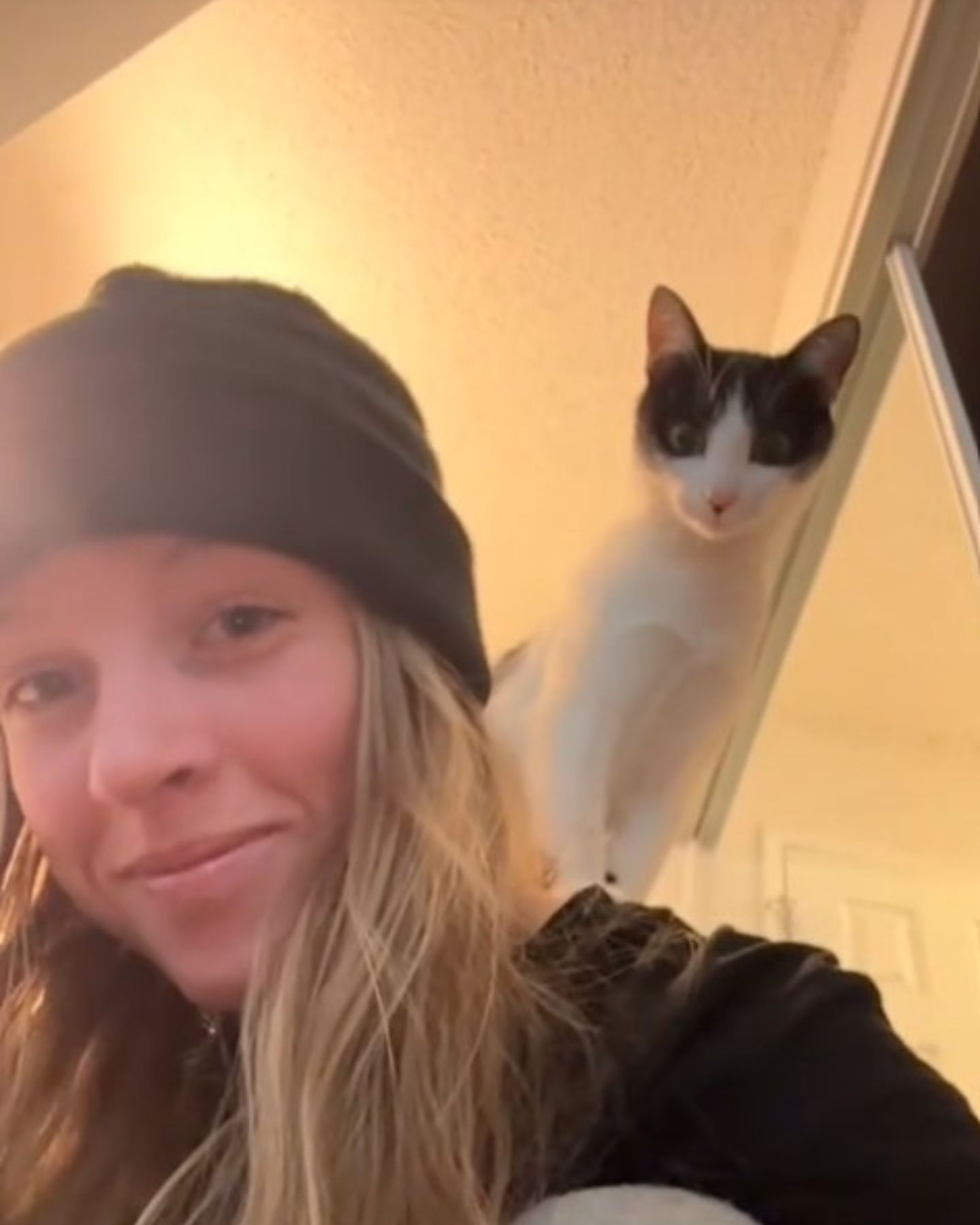 kitten on woman's shoulder