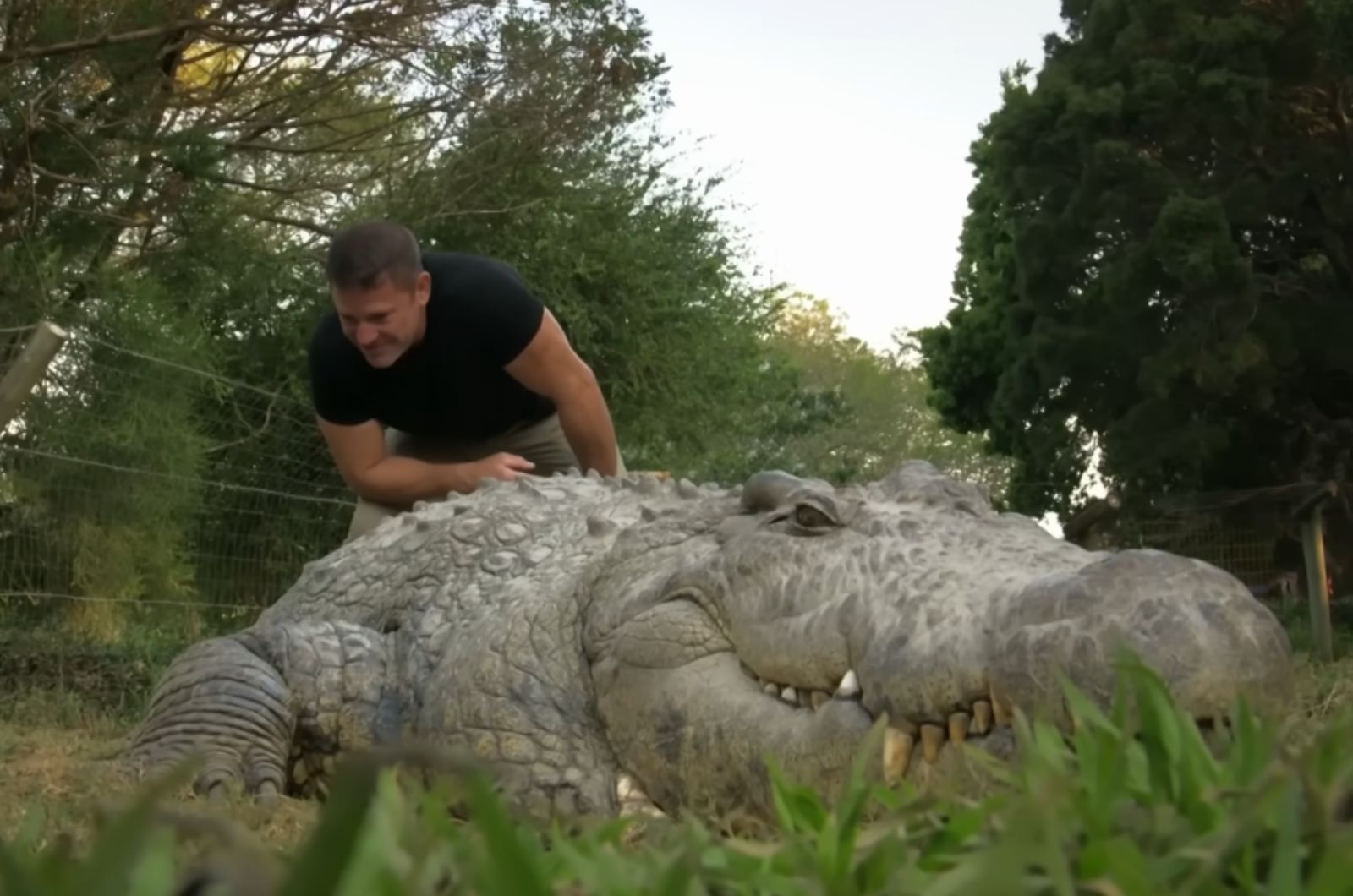 man and crocodile