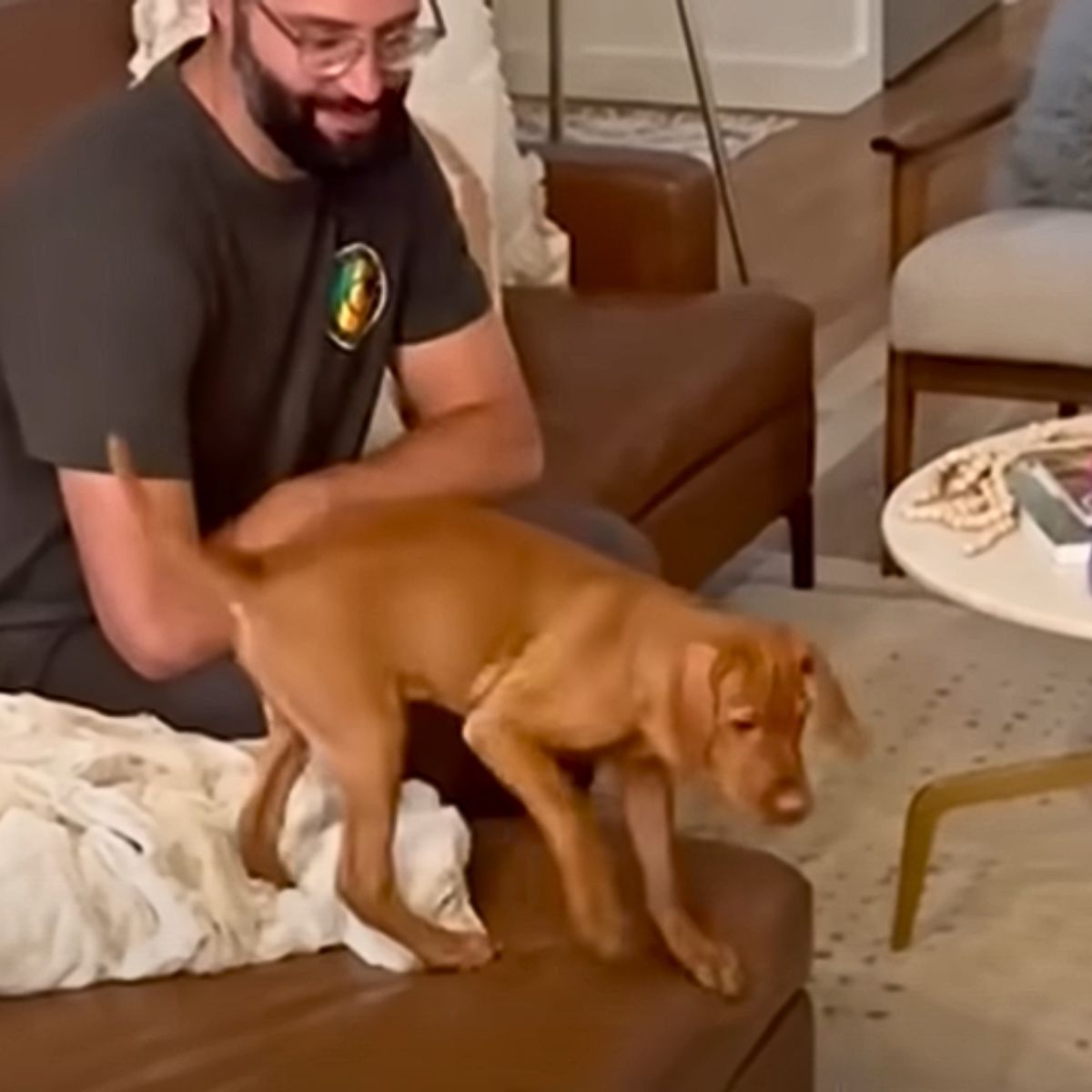 man and dog on couch