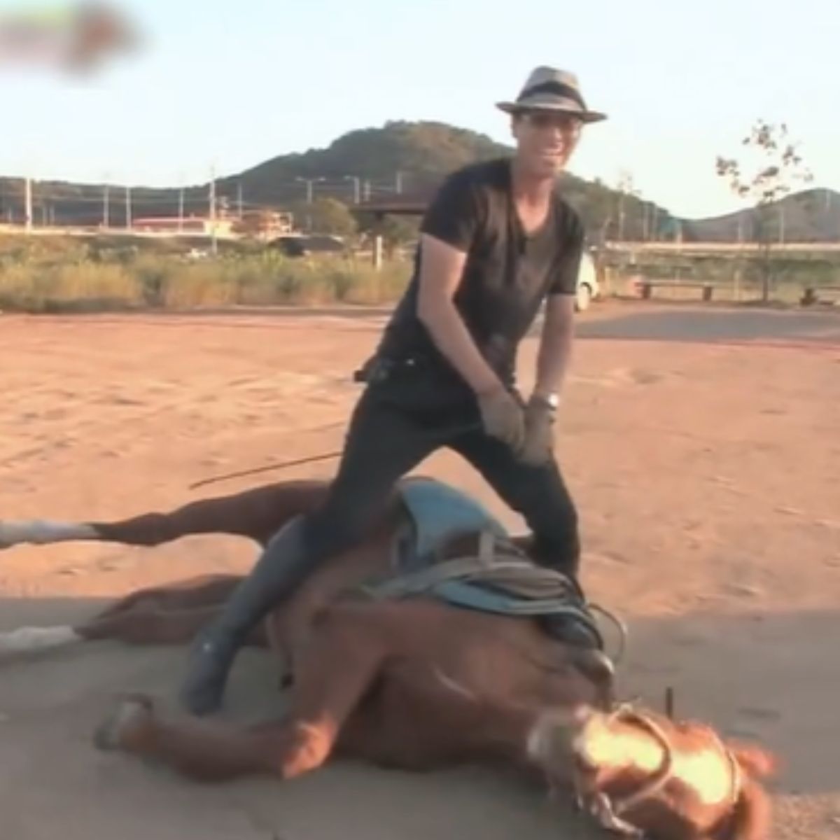 man and fallen horse