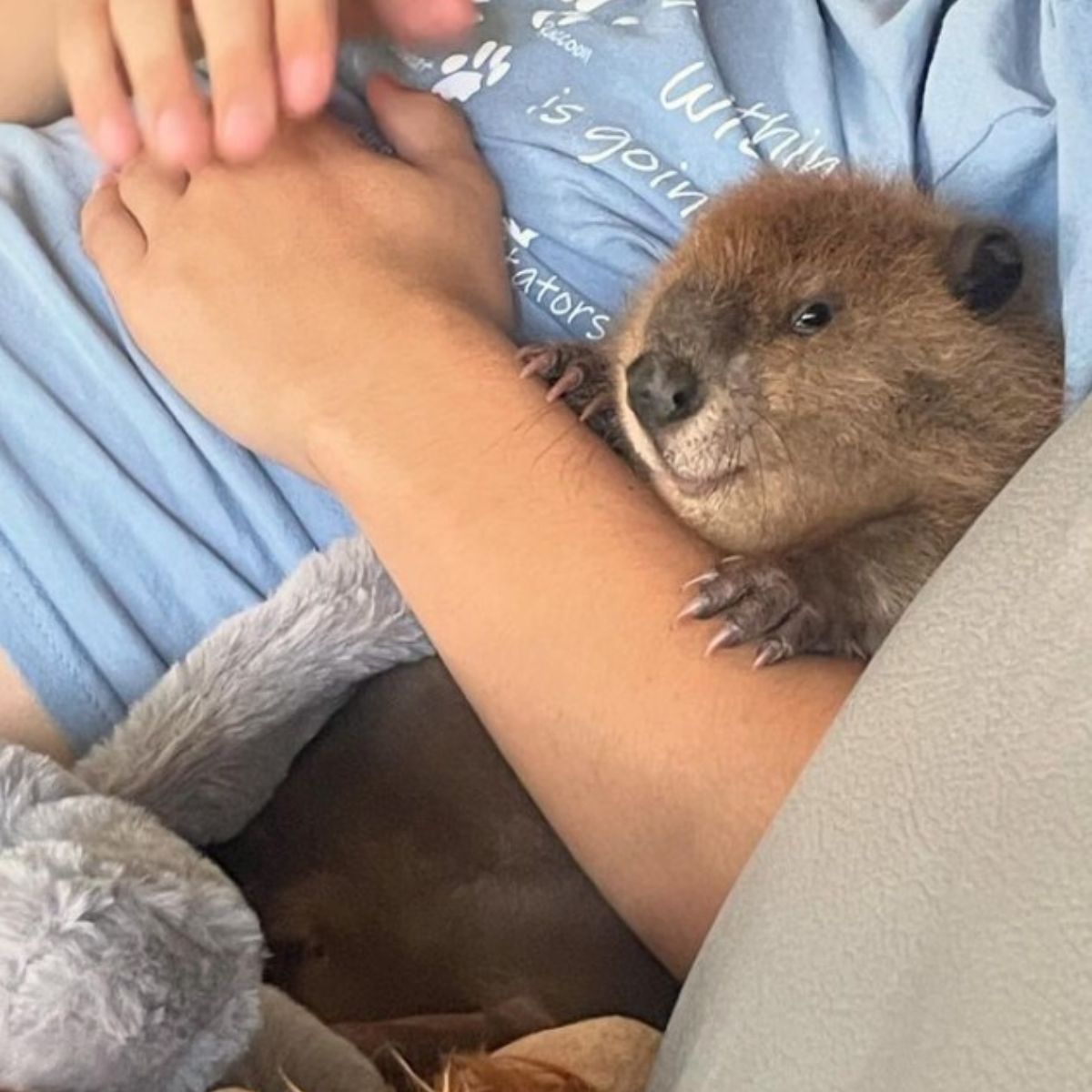 man holding a beaver